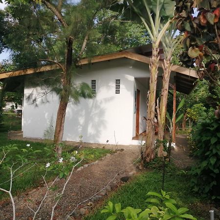Cabinas Los Tucanes Cahuita Eksteriør bilde