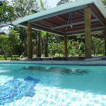 Cabinas Los Tucanes Cahuita Eksteriør bilde