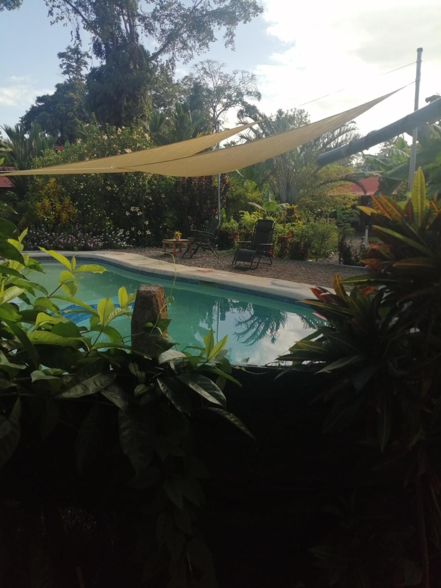 Cabinas Los Tucanes Cahuita Rom bilde