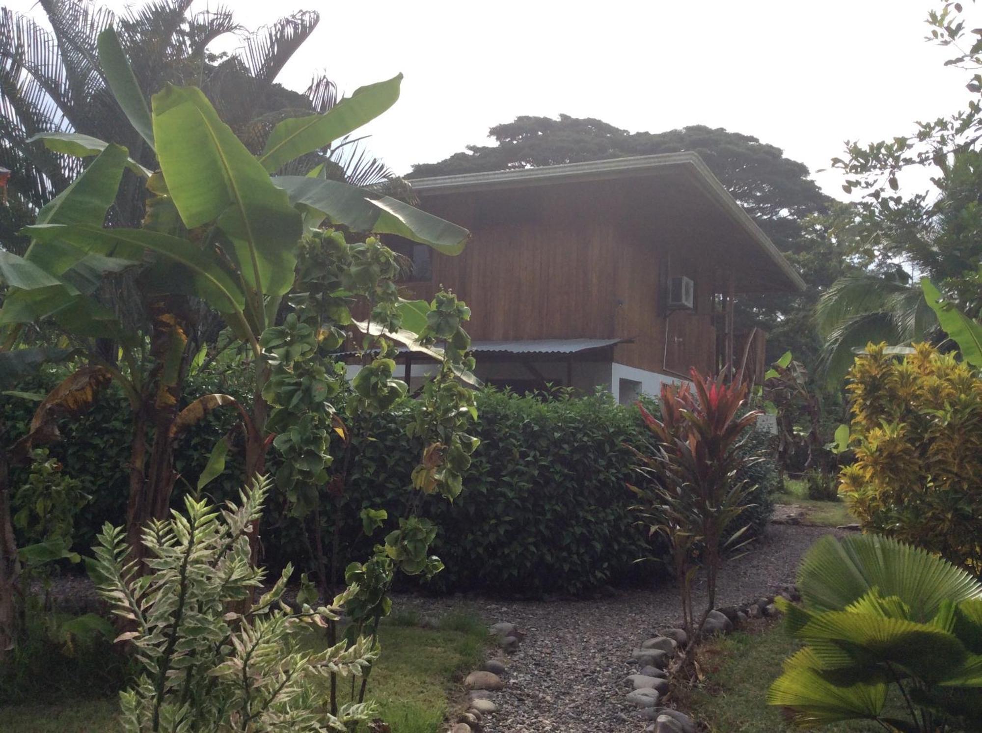 Cabinas Los Tucanes Cahuita Rom bilde