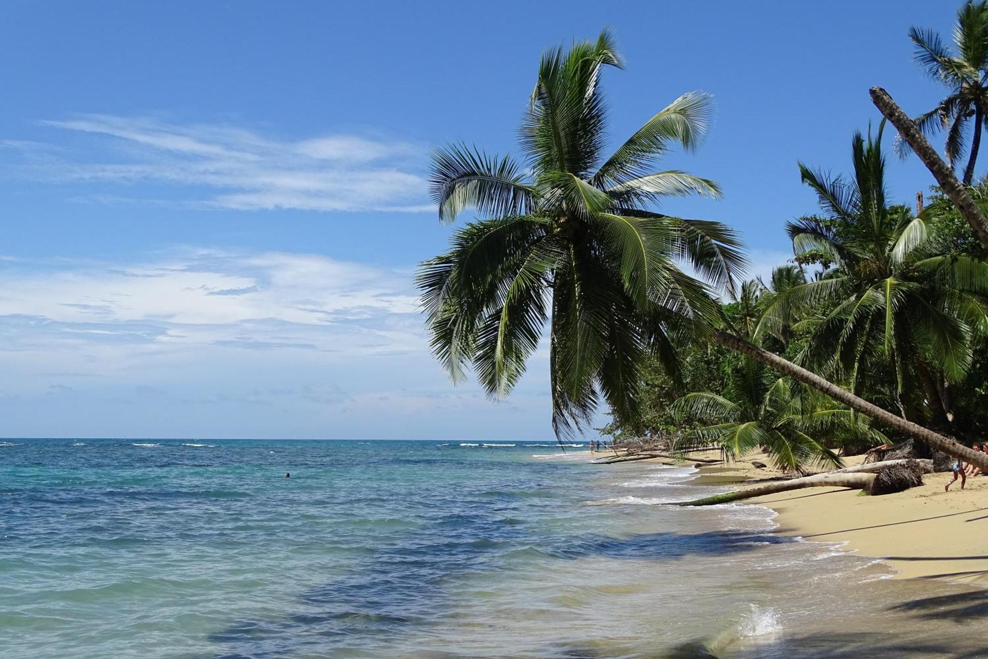 Cabinas Los Tucanes Cahuita Eksteriør bilde