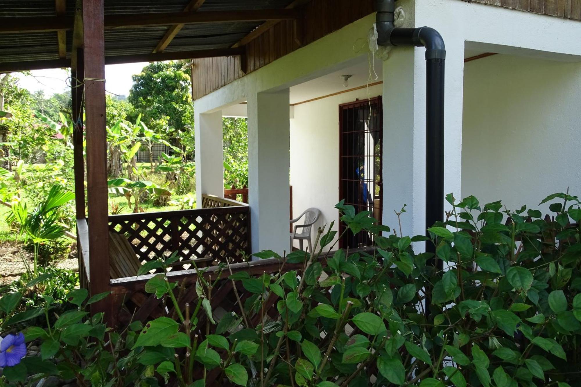 Cabinas Los Tucanes Cahuita Eksteriør bilde