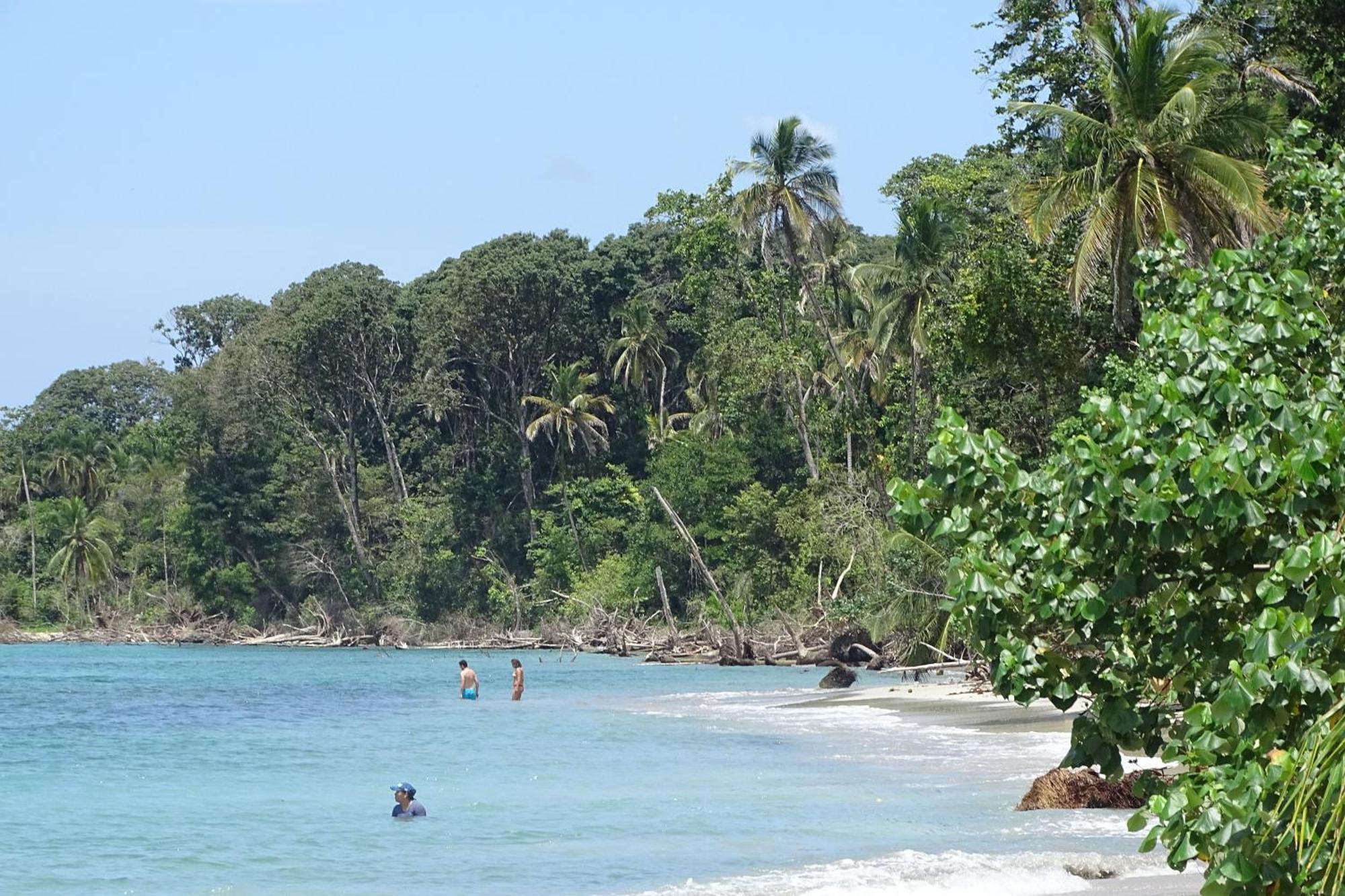 Cabinas Los Tucanes Cahuita Eksteriør bilde