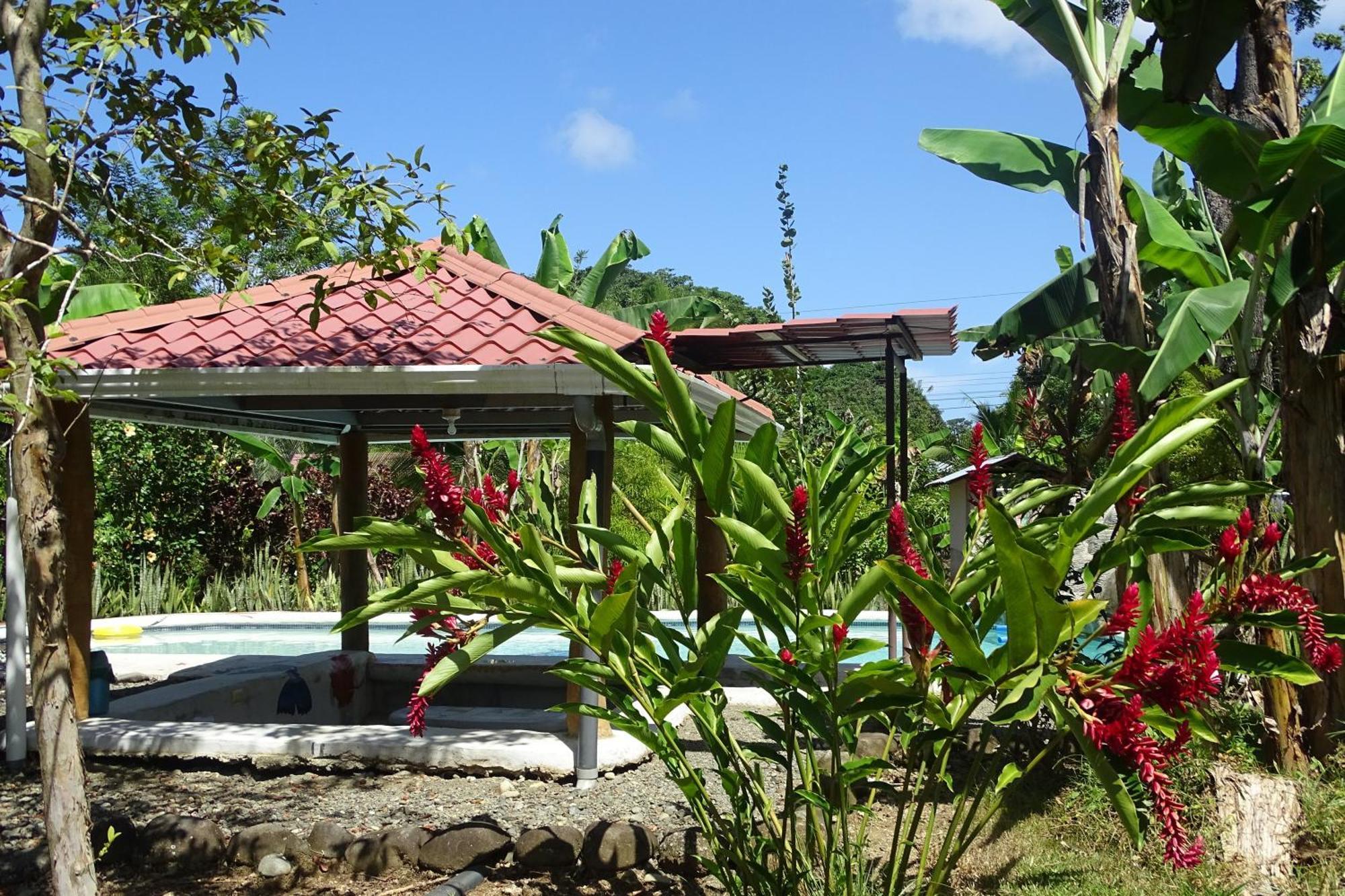 Cabinas Los Tucanes Cahuita Eksteriør bilde