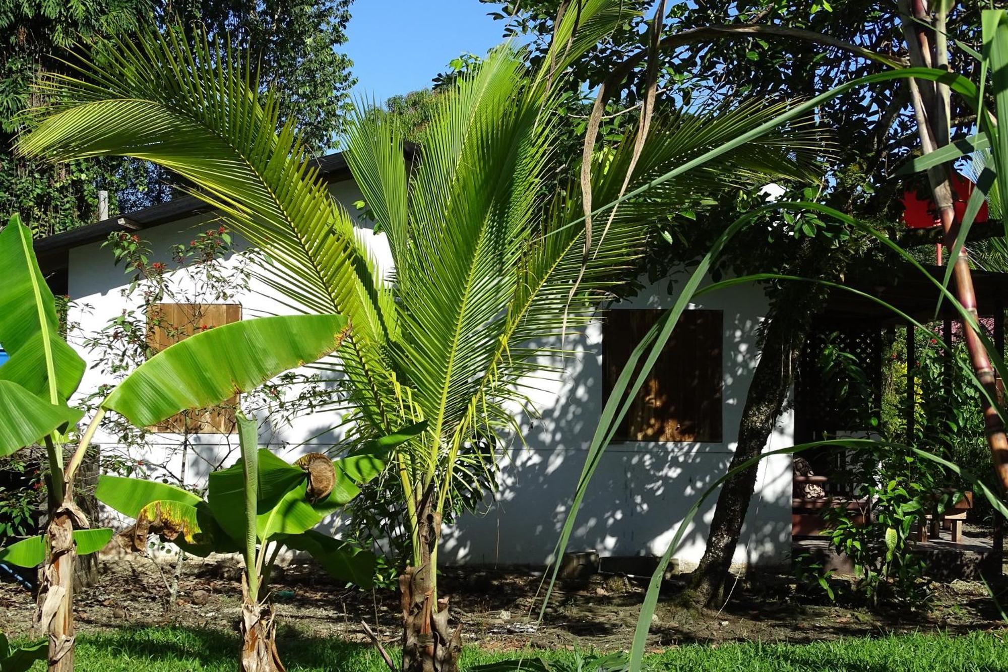 Cabinas Los Tucanes Cahuita Eksteriør bilde