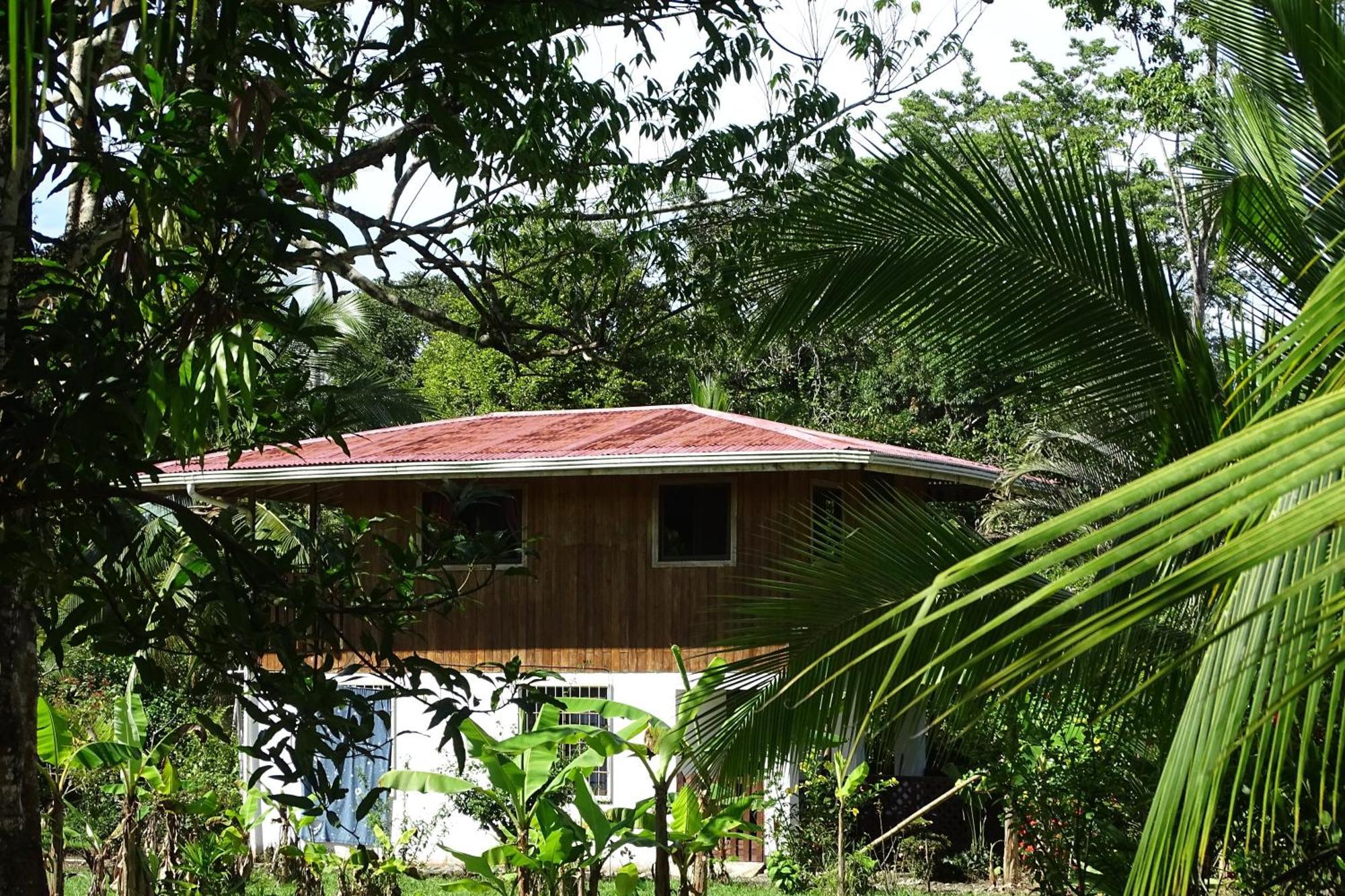 Cabinas Los Tucanes Cahuita Eksteriør bilde