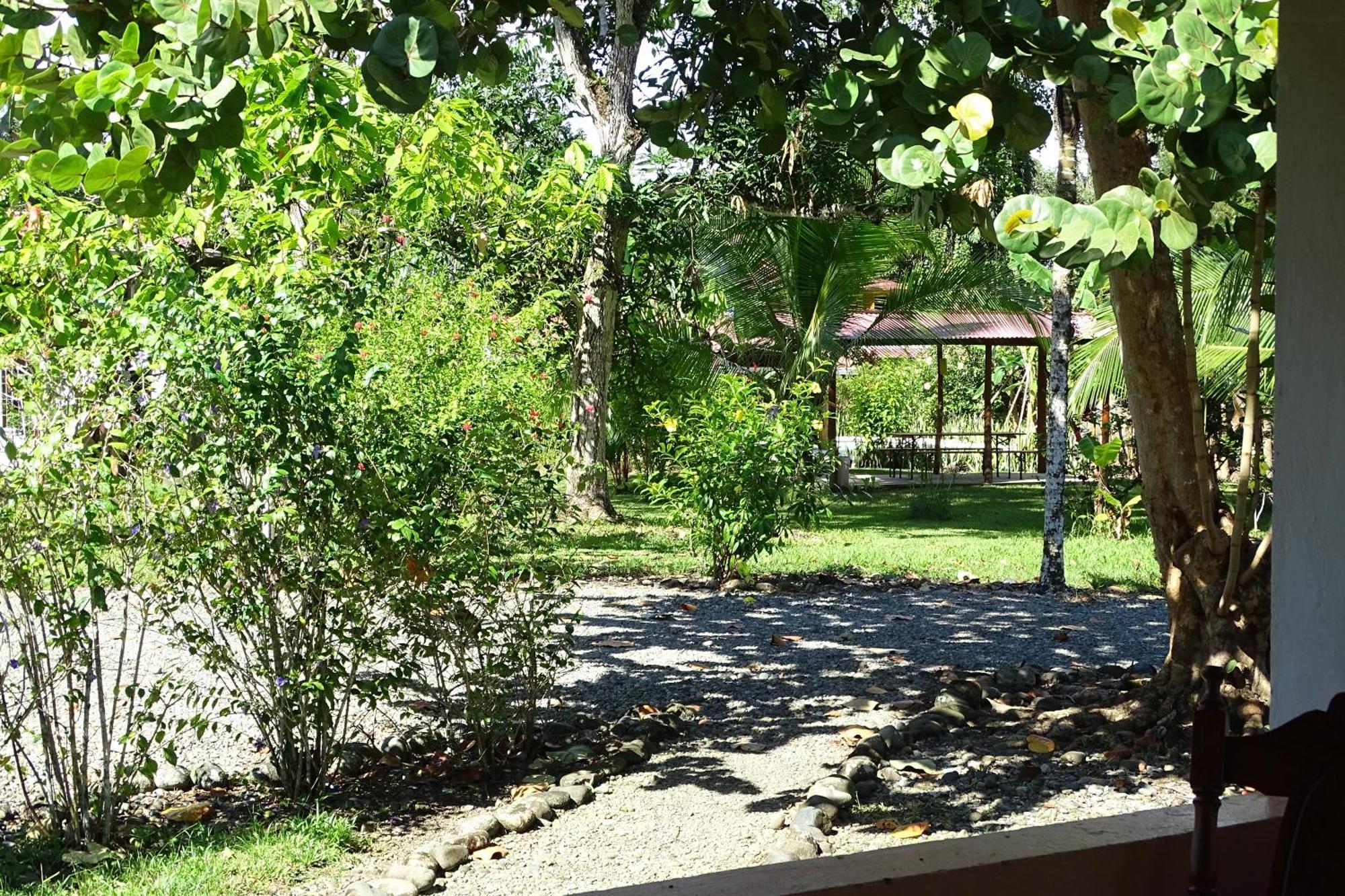 Cabinas Los Tucanes Cahuita Rom bilde