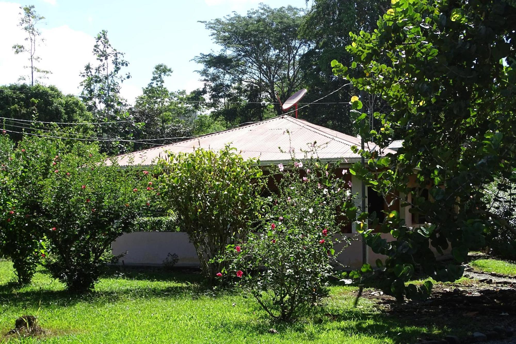 Cabinas Los Tucanes Cahuita Eksteriør bilde