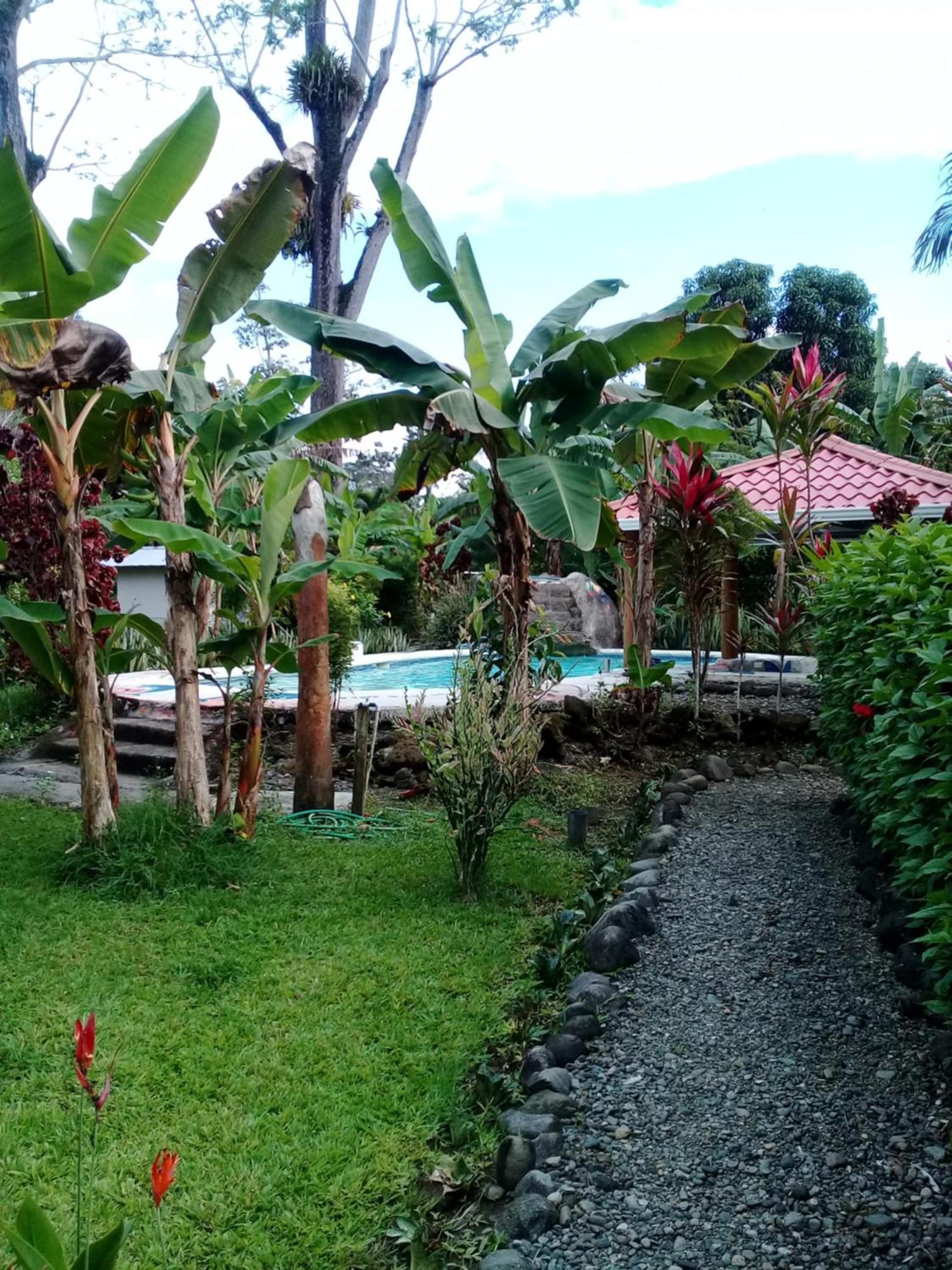 Cabinas Los Tucanes Cahuita Eksteriør bilde